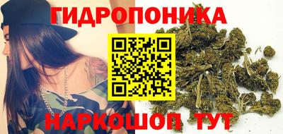 первитин Новозыбков