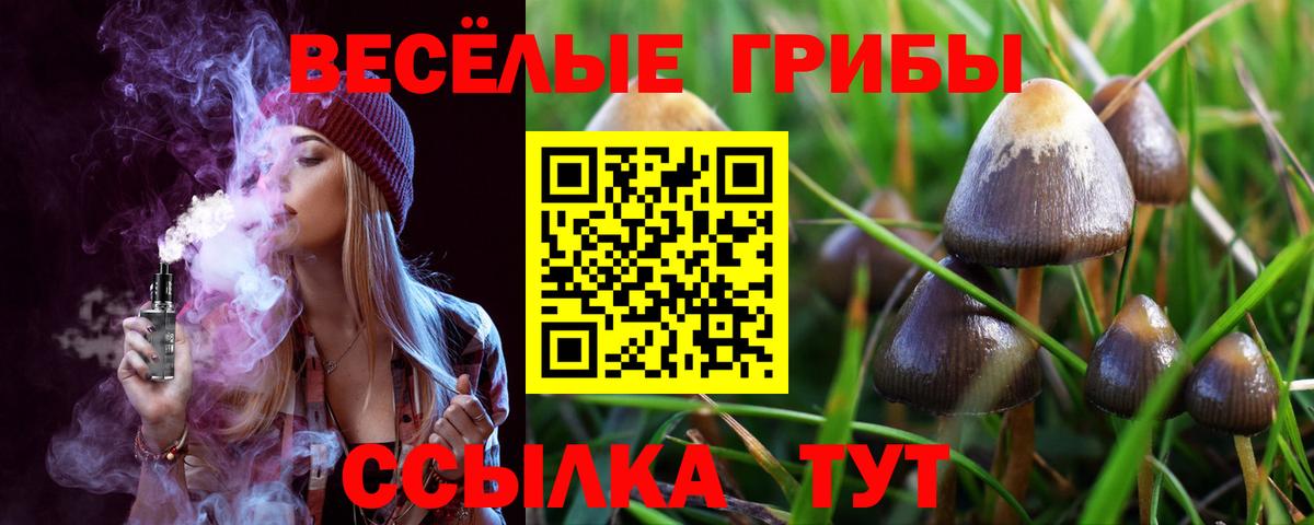 Псилоцибиновые грибы Psilocybine cubensis  Вход с VPN  Шадринск 